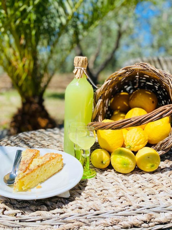 Agriturismo Azzarone เวียสเต ภายนอก รูปภาพ