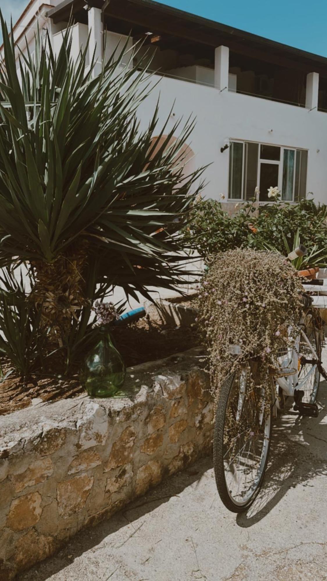 Agriturismo Azzarone เวียสเต ภายนอก รูปภาพ